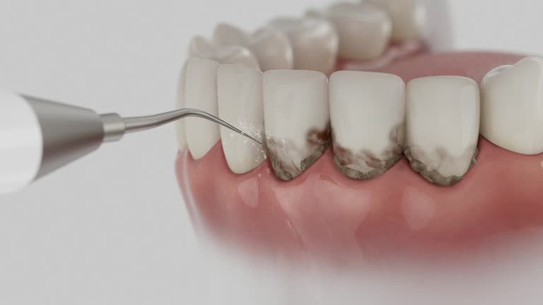 Reliable Dental contractor in Tullahoma, TN by Dentist Open Now
